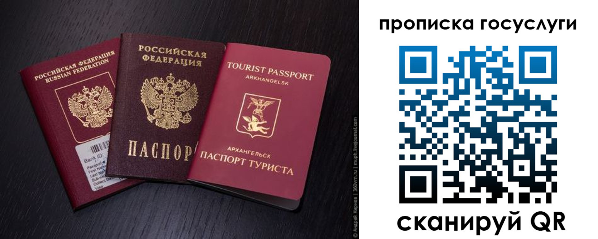 прописка 2025 в Тихорецке